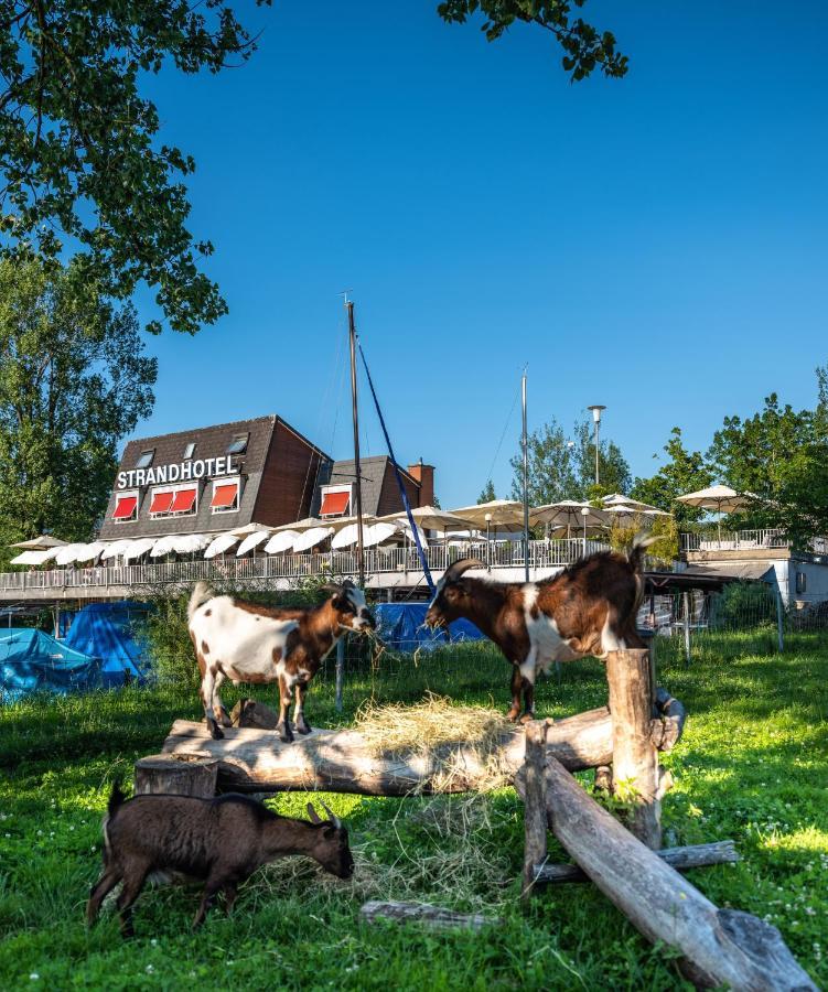 Strandhotel Schmerikon Dış mekan fotoğraf
