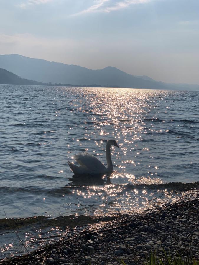Strandhotel Schmerikon Dış mekan fotoğraf