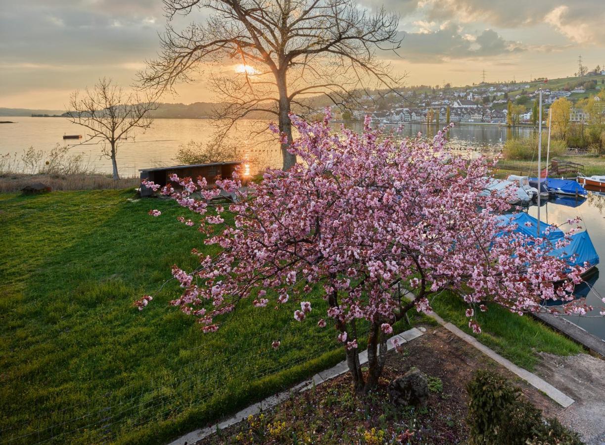 Strandhotel Schmerikon Dış mekan fotoğraf